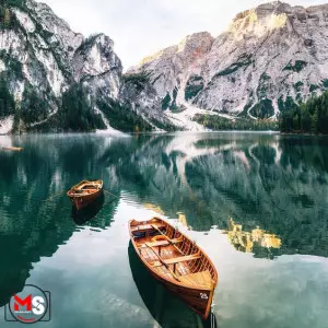 آموزش فوکوس در عکاسی